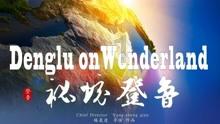 【行摄云南】弥勒:艳丽鲜花俏枝头